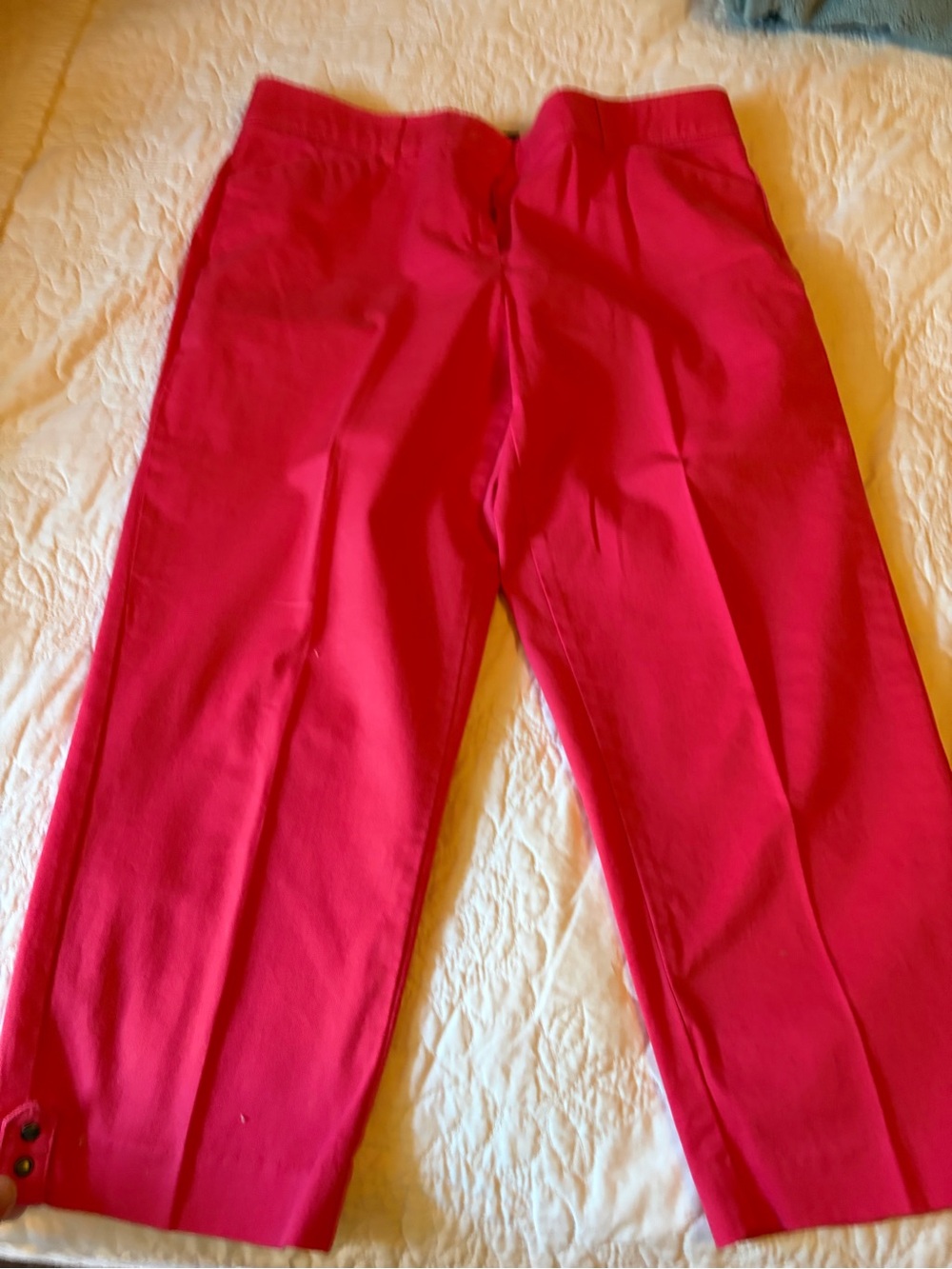 Counterparts Hot Pink Pull-On Capri Pants